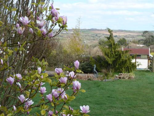 The White Cottage B&B