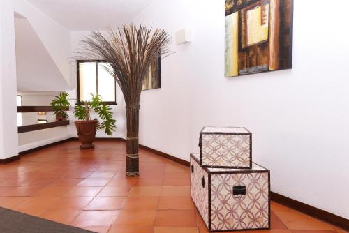 Praia da Lota Resort – Beachfront Hotel - image 10