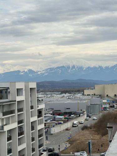 Apartament RYO in Selimbar