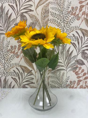Girasol, Madrid