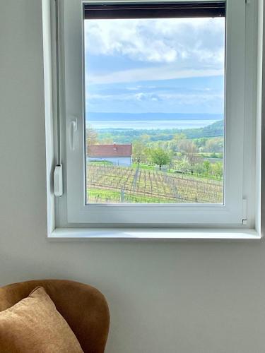 Antmann Bor Terasz Szallas in Balatoncsicsó