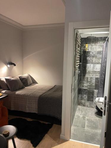 The perfect studio , We accept travelers only, Rīga (photo 5)