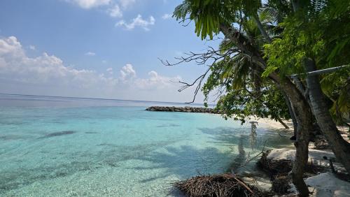 Cerca de lugares turísticos, Uhoo Lavish Oasis in Vaavu Atoll