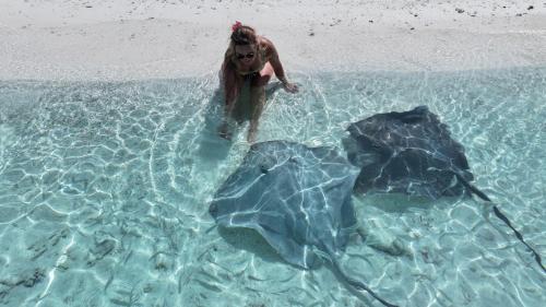 Alrededores, Uhoo Lavish Oasis in Vaavu Atoll