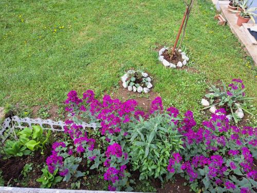 Seosko domacinstvo Halil - image 2