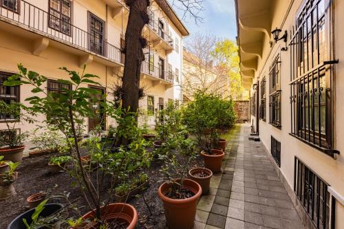 Amber Gardenview Studios - image 2