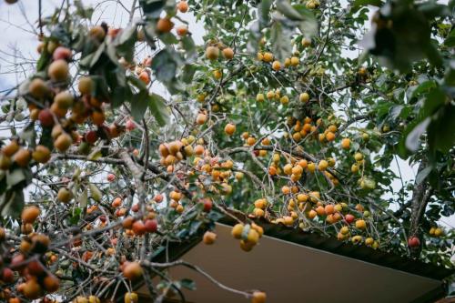 LE'S DALAT SKY Hotel Da Lat