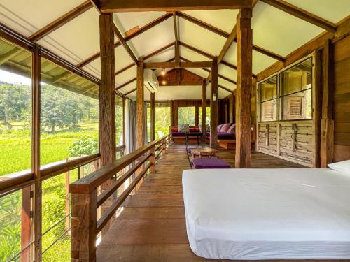 NernJamsai near Elephant Rescue Park