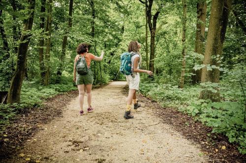 Schlosspark Mauerbach - Adults only - image 7
