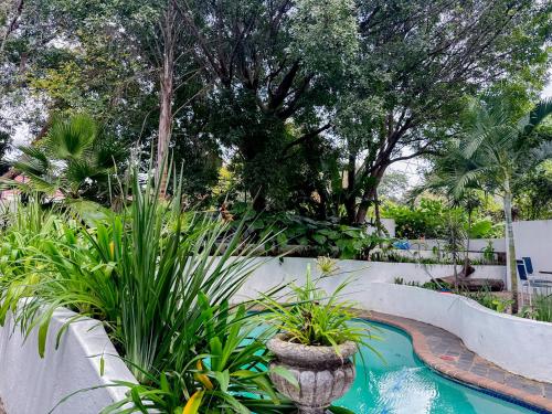 Amoris Guesthouse - Hillcrest Brooklyn in Pretoria