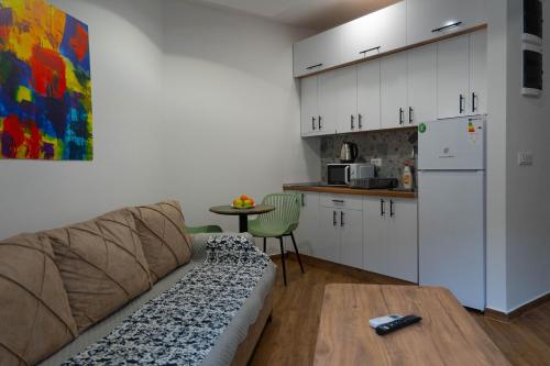 Urban Stay - Main Area Apartments, Skopje (photo 2)