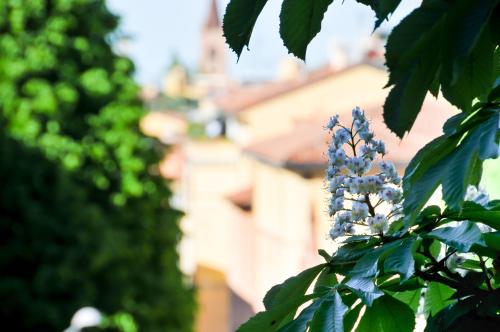 B&B Al Parco Giardini Margherita – Bologna, KY