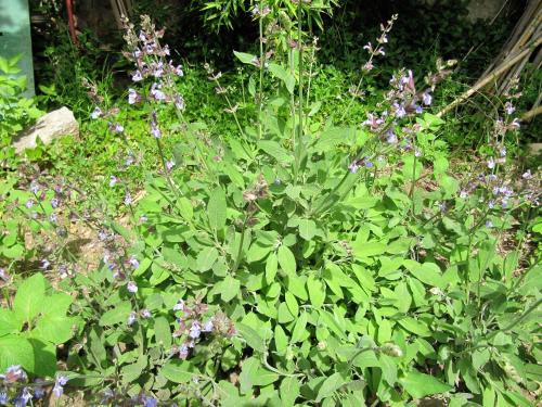 Room & Apartment Saint John - image 11