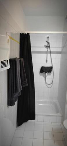 Cosy apartment jacqmain