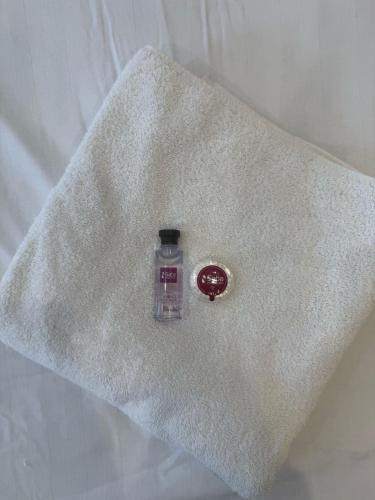 Saba Hotel London – London