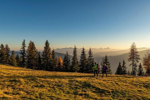 Luxescape-Chalet Apartement Almzeit-Wandern-Traumaussicht-Sauna-Naturschutzgebiet in Turracher Höhe, Österreich