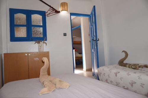 Hostel The Endless House Anchor point in Taghazout