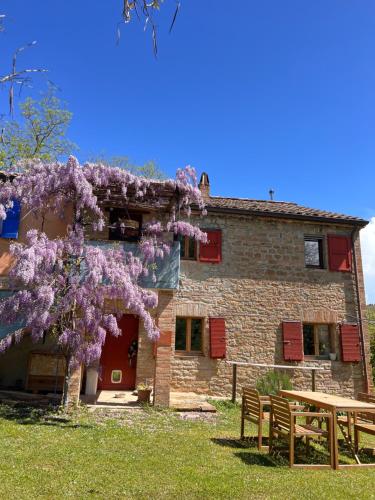 The Reading Cat retreat The Reading Cat retreat