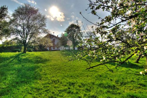 Bio Ferienhof Heiler