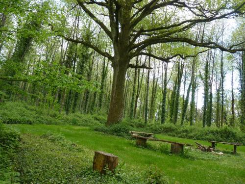 Pied de Mouton in Maure-de-Bretagne