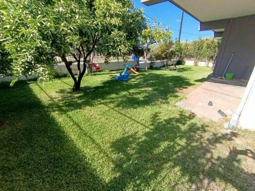 Orange tree apartment