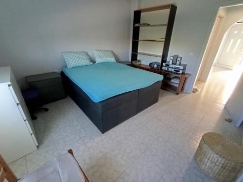 Orange tree apartment