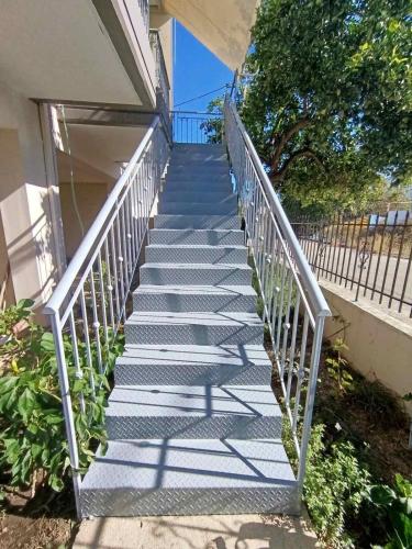 Orange tree apartment