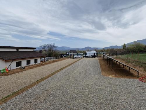 grădină, Selah Cabin in Bran