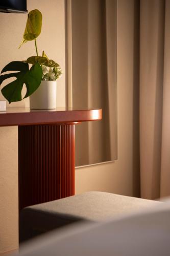 Velvet Grey Boutique Hotel Roma, Roma (foto 4)