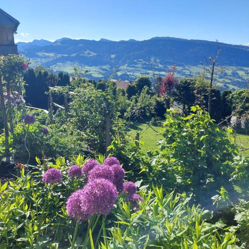 Panorama in Sulzberg, Österreich
