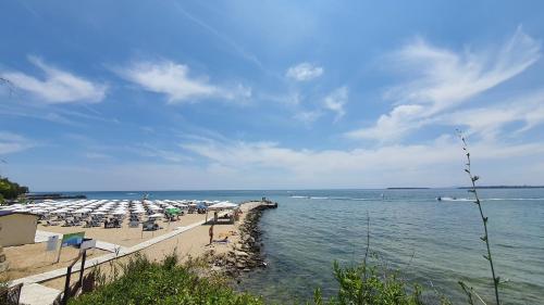 Sunshine Rose - Sea view, Neubau, Luxus Apartment in Sveti Vlas