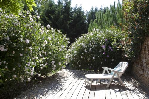 Maison à la campagne avec piscine privée (Maison a la campagne avec piscine privee) in Marsales
