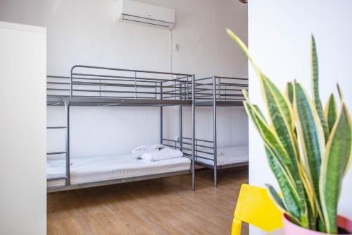 1 bunk bed