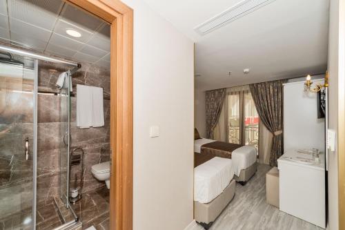 Grand Pamir Hotel, Istanbul (fotografie 10)