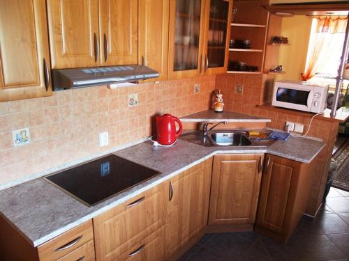 Kitchen, Penzion U Potoka in Plzen