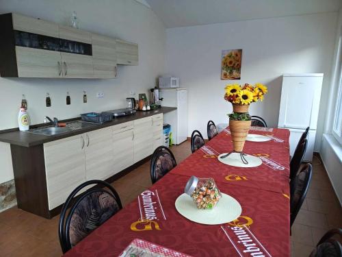 Kitchen, Penzion U Potoka in Plzen