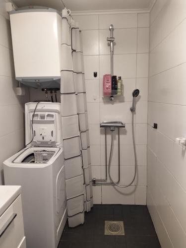 Shower, Lagenhet Lappfjard in Lapvaartti