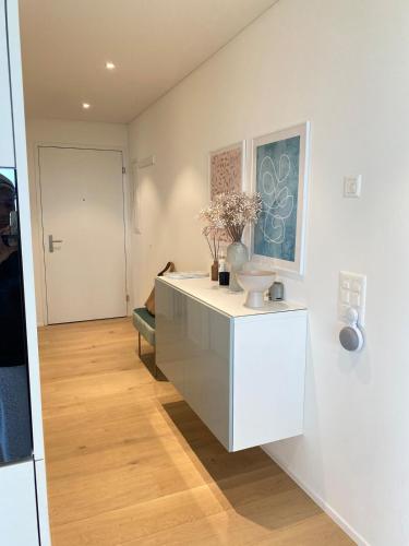 Top apartment with stunning views- 15 min Zurich HB- Self Check-in, Curych (fotografie 5)
