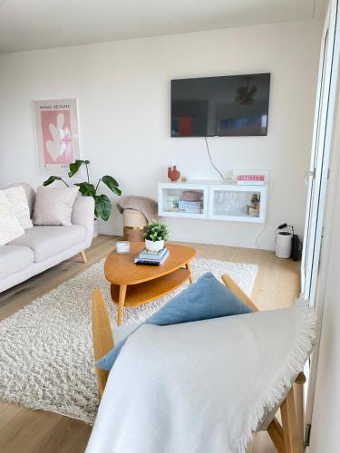 Top apartment with stunning views- 15 min Zurich HB- Self Check-in, Curych (fotografie 8)