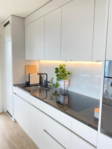 Top apartment with stunning views- 15 min Zurich HB- Self Check-in, Curych (fotografie 2)