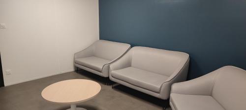 Studio rénové Nancy Brabois, proche CHRU campus (Studio renove Nancy Brabois, proche CHRU campus) in 旺多厄夫爾萊南西