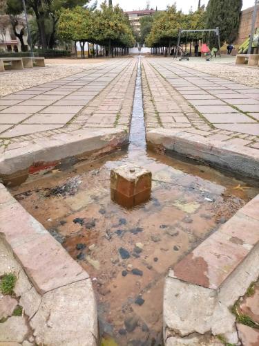 Nieves Viejas Los Patios