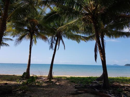 A környék, The Hopeful Hut-Cosy beach vibes-Bring the dog & boat in Kurrimine Beach (QLD)