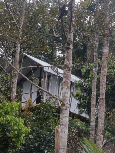 Escape Leuser Glamping