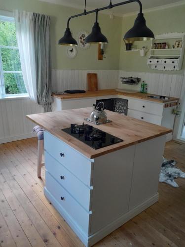 virtuve, Ferienhaus 1 in Arnstorp