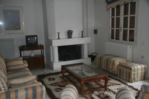 Villa C & C, Delfy (fotografie 9)