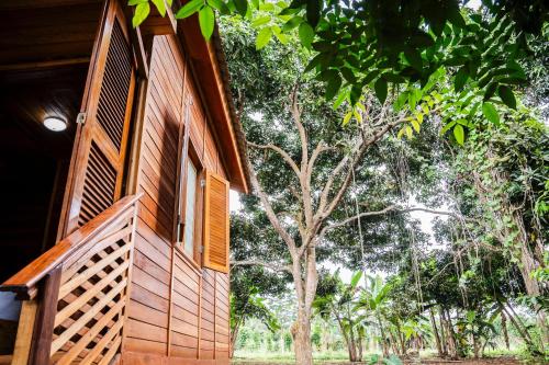 Kê vitamina - Solar dos Ananas (Ke vitamina - Solar dos Ananas) in 普林西比