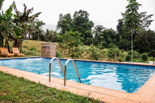 Kê vitamina - Solar dos Ananas (Ke vitamina - Solar dos Ananas) in 普林西比