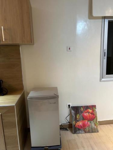 One-Bedroom Apartment image 2