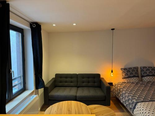 Grand Studio - Au Faubourg - Strasbourg Centre, Estrasburgo (foto 3)